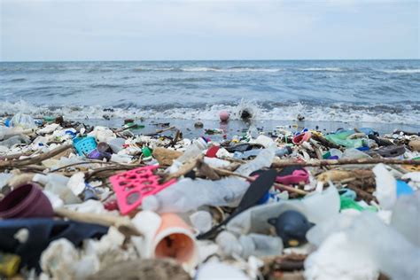 Ocean Plastic Pollution Explained | The Ocean Cleanup