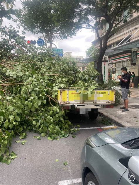 高雄無風雨巨大路樹突然倒塌 女駕駛等紅燈衰壓車內受困 社會 中時新聞網