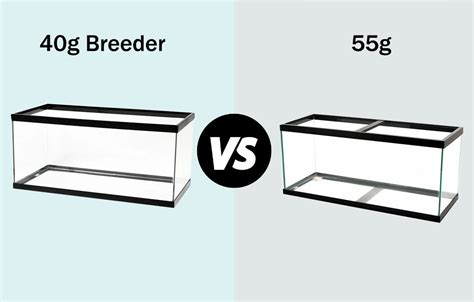 Breeder Vs Gallon Fish Tank Showdown Size Weight Cost