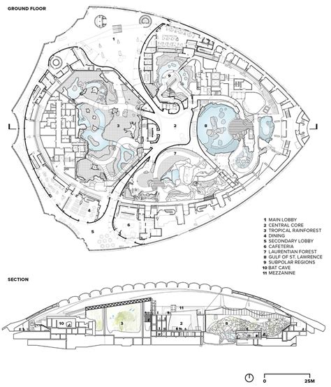 Scene Change: Biodome Migration, Space for Life natural science complex ...