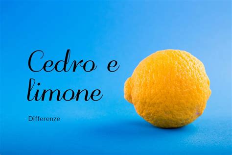 Cedro E Limone Differenze E Similitudini