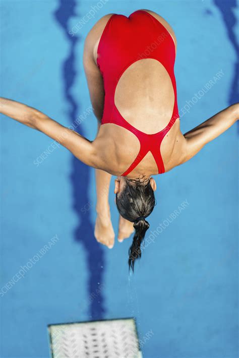 Woman Diving Into Pool From Springboard Stock Image F024 4064