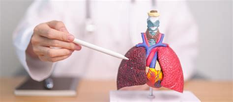 Aortic Dissection Stock Photos, Images and Backgrounds for Free Download