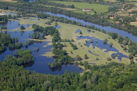 Auen Als Hochwasserschutz An Der Save Euronatur