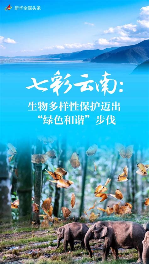 七彩云南：生物多样性保护迈出“绿色和谐”步伐 新华网