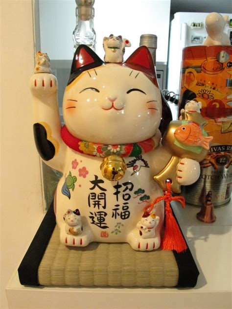 Épinglé par Shelby Gali sur C A L I D R E A M S Neko Maneki neko