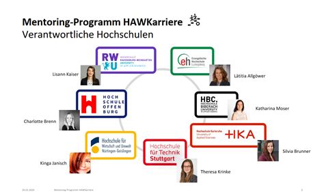 Mentoring Programm Zur F Rderung Von Zuk Nftigen Und Neuberufenen