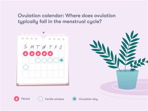 Ovulation Calculator Flo Health