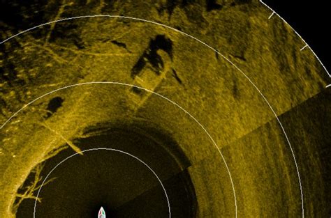 Livescope images - Fun with 360/Livescope