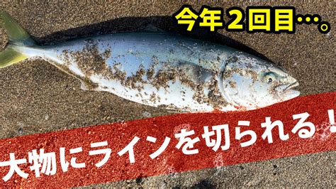 10月20日 道南津軽海峡青物釣り。ブリ狙いでラインブレイク。青物ほぼ初心者への洗礼。【実釣編】 ヒトニツリ 〜北海道道南釣行記録〜