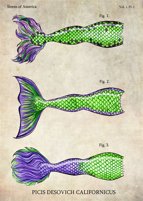 Free How To Draw A Mermaid Tail Download Free How To Draw A Mermaid Tail Png Images Free