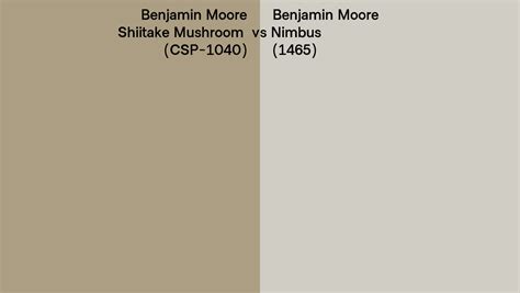 Benjamin Moore Shiitake Mushroom Vs Nimbus Side By Side Comparison