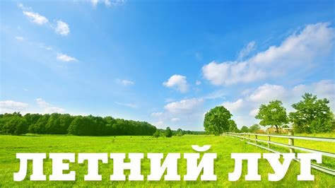 Летний луг - YouTube