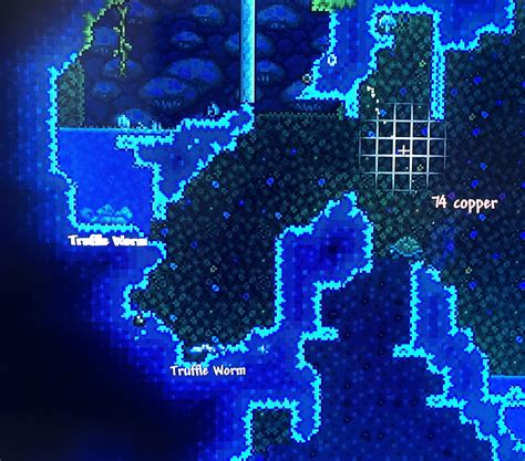 how to get truffle worm fisch 6