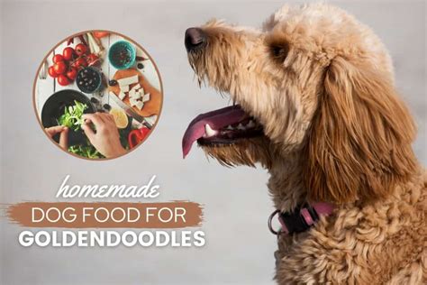 Homemade Food For Labrador Retrievers: Adult & Puppy Recipes & Guide ...