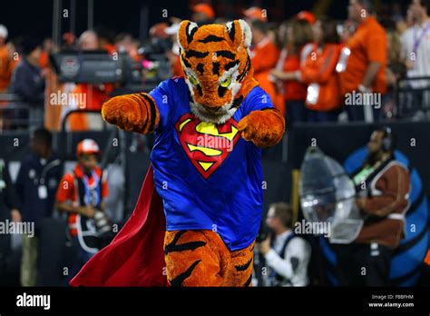 January 11 2016 The Clemson Tigers Mascot The Tiger In Action During