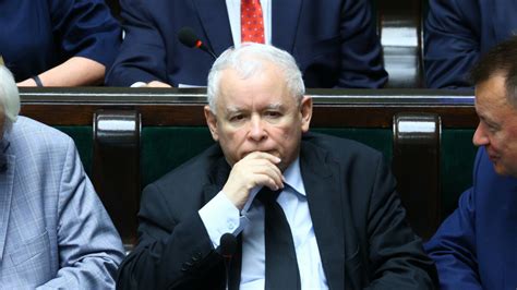 PiS na czele nawet bez koalicjanta Nowy sondaż IBRIS Wiadomości