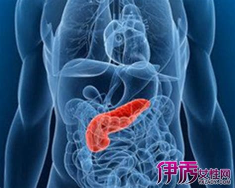 【胰腺癌后期症状】【图】胰腺癌后期症状有哪些 常出现的6大主要症状列举 2 伊秀健康