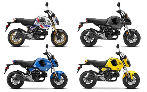 Honda Grom Gets Updated With New Features Colours Higher Top Speed