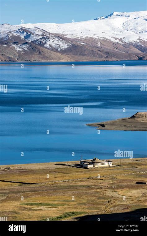 India Jammu And Kashmir Himalaya Ladakh Changthang Plateau