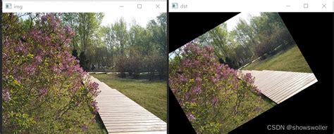 Opencv中图像的平移、旋转、倾斜、透视的讲解与实战（附python源码） 拓展窗口平移图片变倾斜 Csdn博客