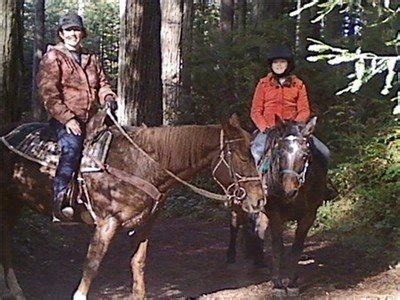 Horseback Trail Riding Tips