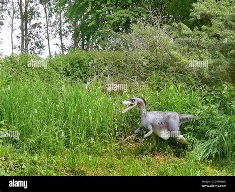 Troodon Hi Res Stock Photography And Images Alamy