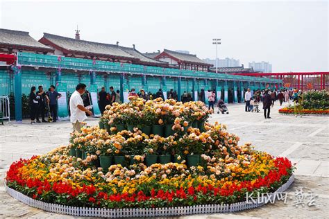 打造有全国影响力的月季基地 定州市首届月季文化旅游周开幕 定州频道 长城网