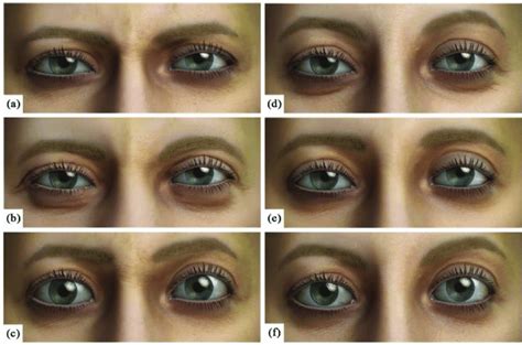 Samples of the six rendered eye expressions created using the model ...