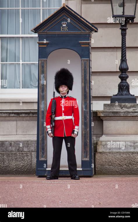 A View Of The Queens Guard On Sentry Duty Outside Buckingham Palace