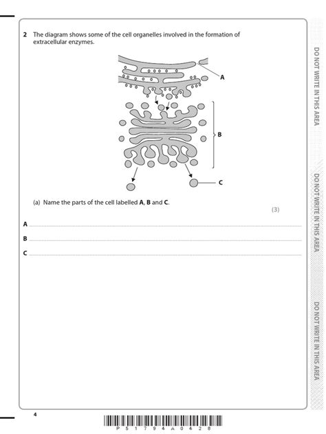 Extracellular Enzymes.: 2 The Diagram Shows Some of The Cell Organelles ...