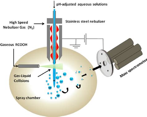 Fig S1 Schematic Diagram Of The Experimental Setup Aqueous Solutions