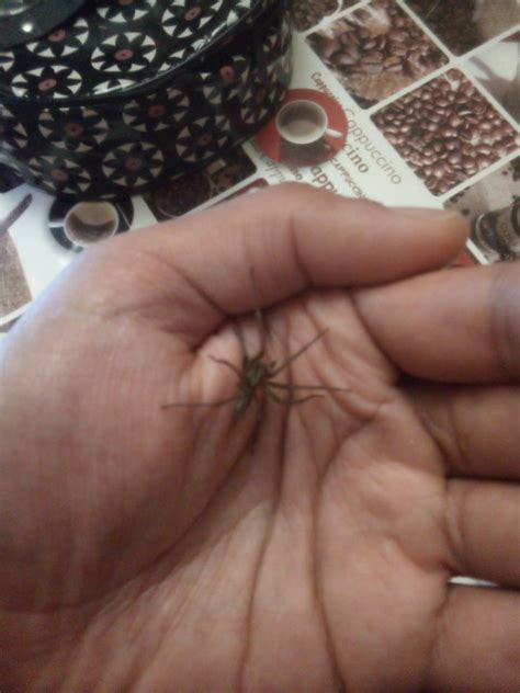 Pornlovers Have U Ever Met A Pornstar For Sex How Was The Experience Porn