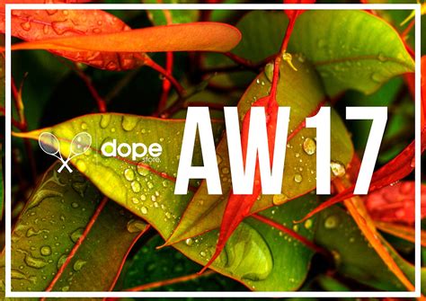 DOPE STORE on Behance