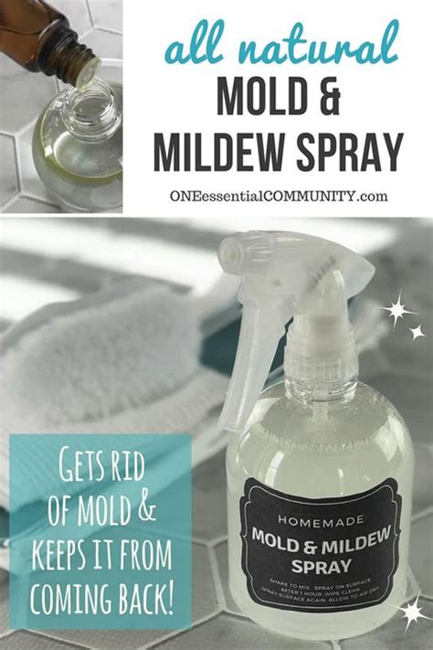 Homemade Mold And Mildew Spray