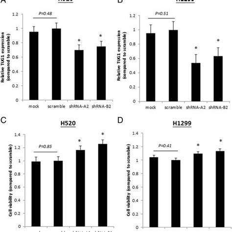 Knockdown Of TUG1 Increases Cell Proliferation In NSCLC Cells NSCLC