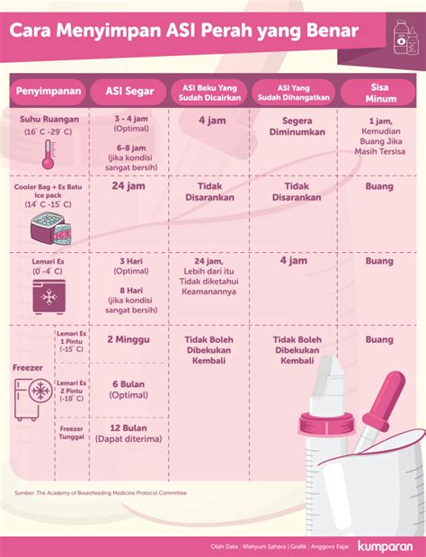 Infografik Cara Menyimpan ASI Perah Yang Benar Kumparan