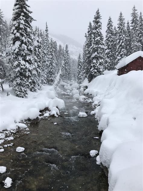 Snowy Mountains At Glacier Hot Springs Stock Image Image Of Jackson Hole