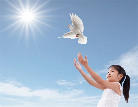 White Dove Release | Funeral Doves | Memorial Doves | White Dove