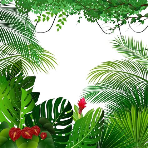 Fundo De Floresta Tropical Vetor Premium