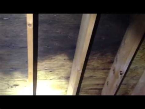 Bellingham Mass Mold Removal Job Youtube