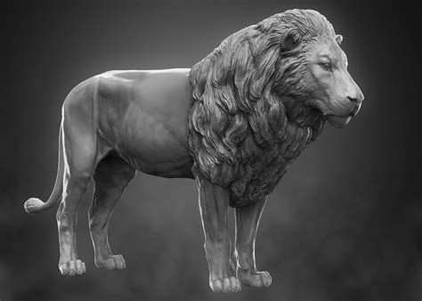 lion zbrush  model turbosquid