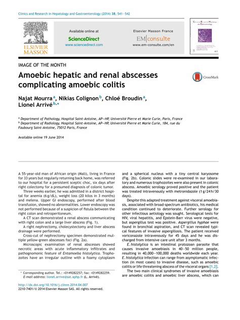 (PDF) Amoebic hepatic and renal abscesses complicating amoebic colitis ...