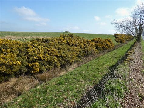 Defensive Ditch Kevin Waterhouse Cc By Sa Geograph Britain And