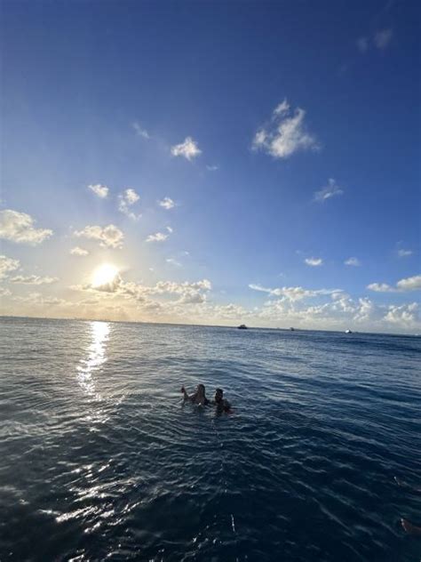 Isla Mujeres Catamaran Met Snorkel Open Bar En Transfer Getyourguide