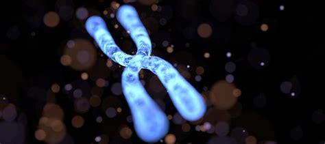 New experimental treatment may boost cognitive function in fragile X ... 