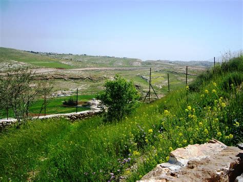 Beit Sahour Shepherds Field Bethlehem Israel Trip Israel Travel