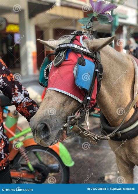 How to Reach Cineworld Locations via Public Transportation 12