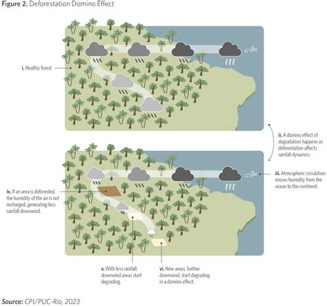 The Amazon Domino Effect How Deforestation Can Trigger Widespread