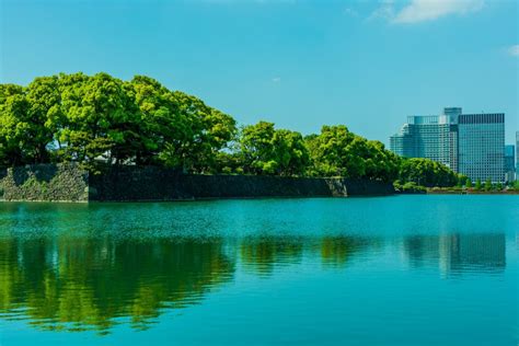 Tokyo Imperial Palace - GaijinPot Travel